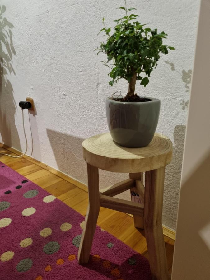 דירות Martin'S House מראה חיצוני תמונה